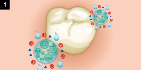 tri-calcium phosphate process for clinpro tooth creme first step
