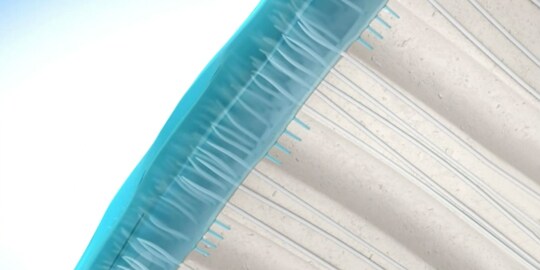 etched dry dentin with universal adhesive
