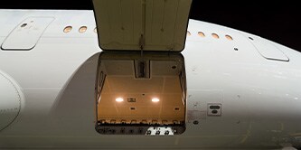 The door that stores the cargo of an aircraft is open

