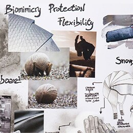 Biomimicry