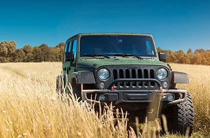 Black Jeep in tall grass field
