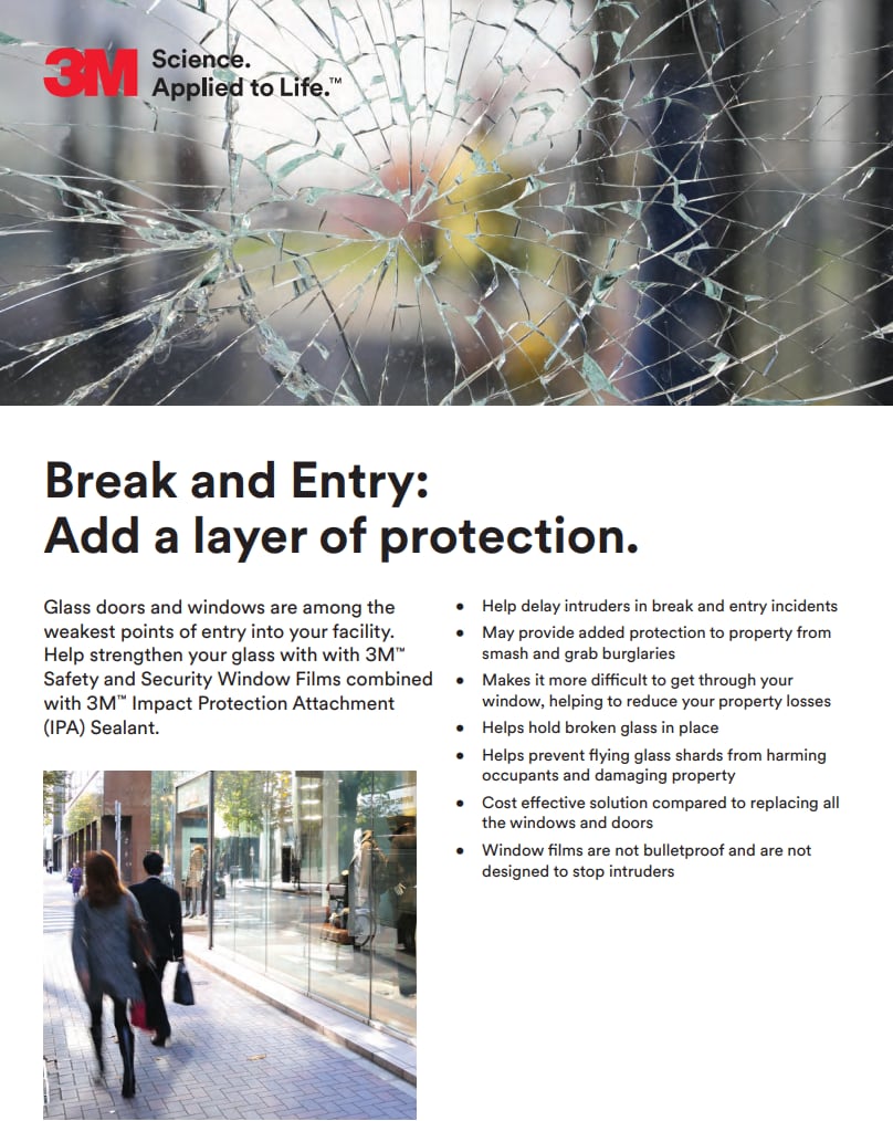Intrusion Protection Flyer (PDF, 149 KB)
