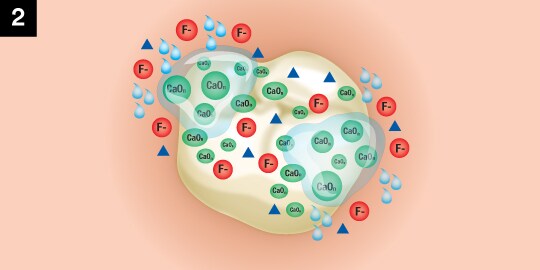 tri-calcium phosphate process for clinpro tooth creme second step
